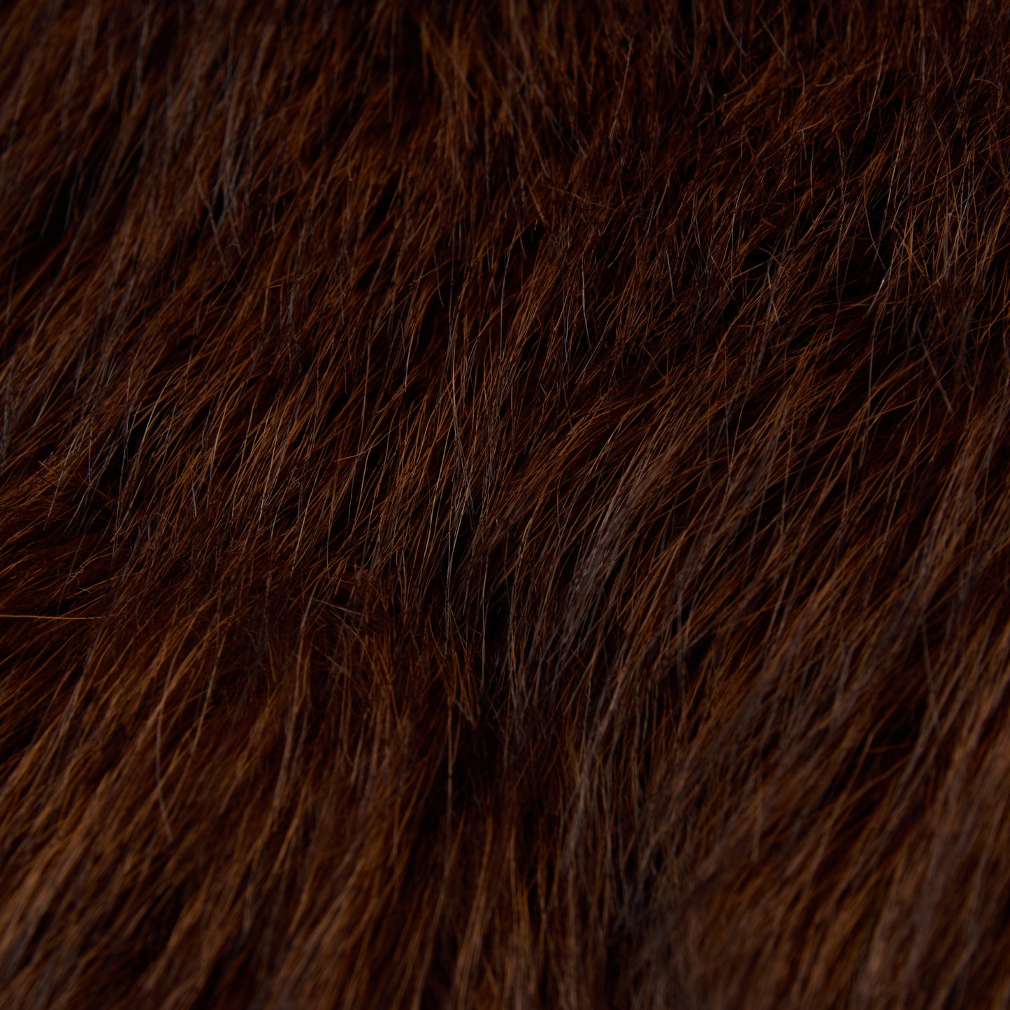 FLORIN SHORT COAT (brown)