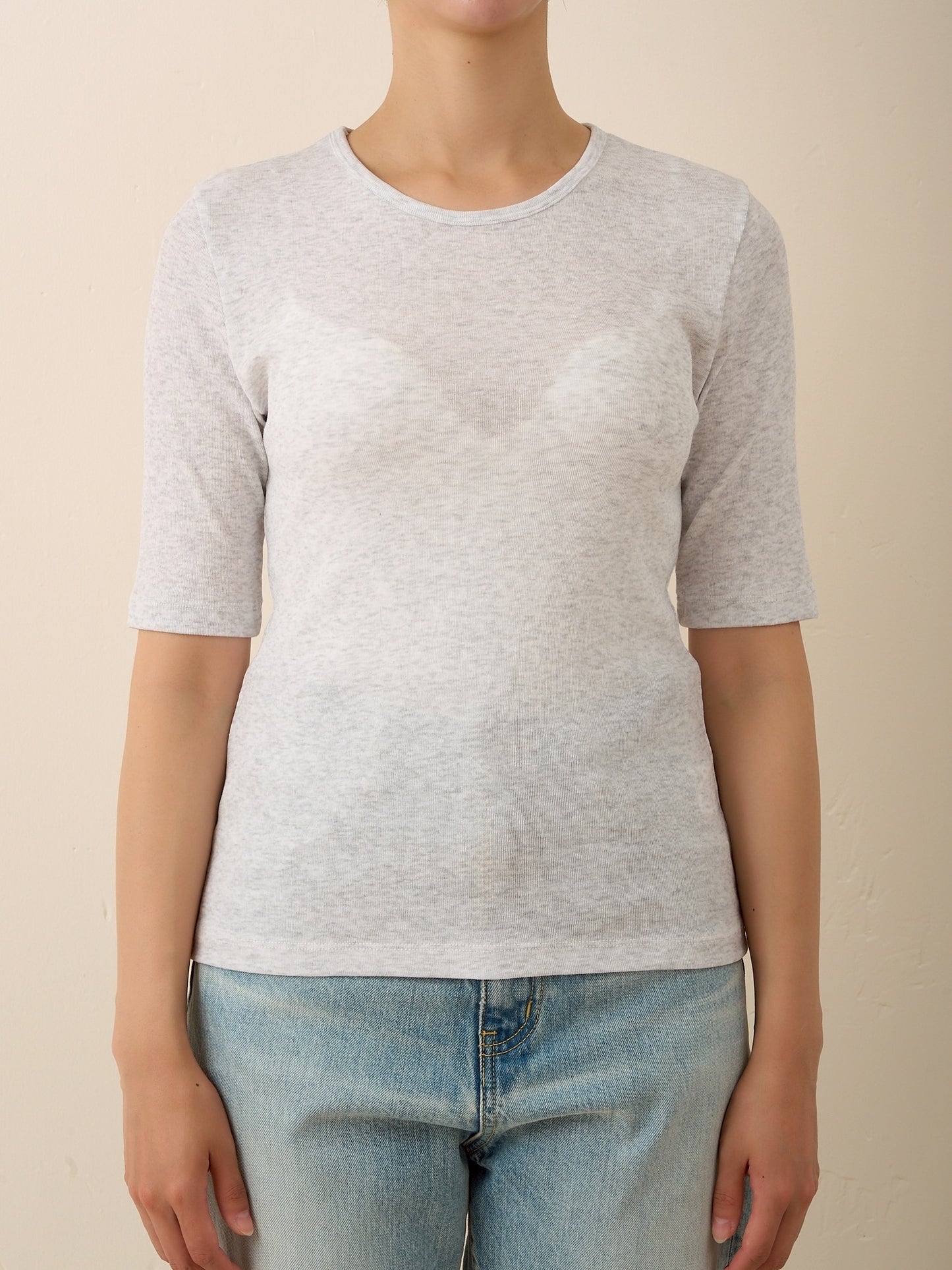 DIA HALF SLEEVE TEE (top gray)