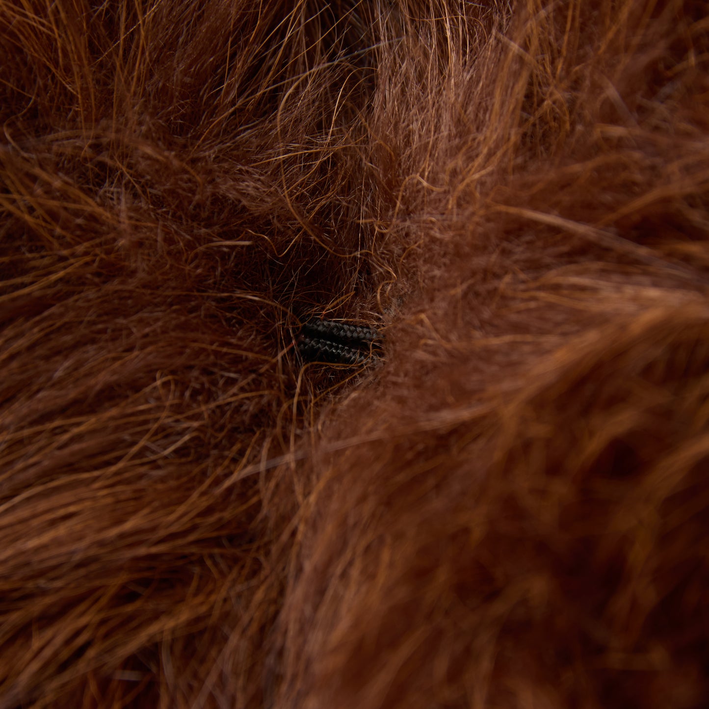 FLORIN SHORT COAT (brown)